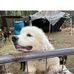 David Kerschner - Facebook