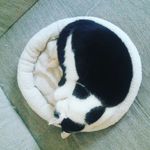 david kerschner - @00_kerschner - Instagram