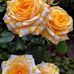 David Khoni - Facebook