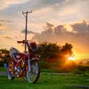 Davidkholick - @kholicanggara90 - TikTok
