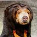 David Kicak - Facebook