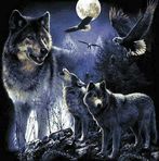 David Kiff - Facebook