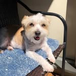 David Kilduff - @kilduff.david - Instagram