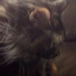 David Scott Kiley - @davidscottkiley - Instagram