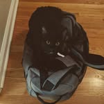 David Kimmel - @dkimmel960 - Instagram