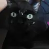 Simone Kindel683 - @david.kindel123 - TikTok
