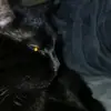 david_king025 - @david_king025 - TikTok