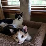 David Kinser - @djkinser - Instagram