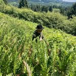 David Kinser - @davidkinser - Instagram