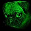 davidkirkby816 - @fierce_green_pug - TikTok
