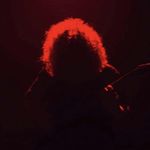 David Kirsch - @davidgkirsch - Instagram