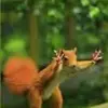 David Kirsch - @davidkirsch6 - TikTok