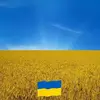 davidkirsch110 - @davidkirsch110 - TikTok