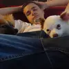 kittled - @davidkittle - TikTok
