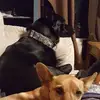 davidkitzmiller7 - @davidkitzmiller7 - TikTok