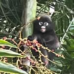 David Kleeman - @dkleeman - Instagram