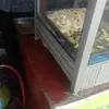 David Klim - @david.klim7 - TikTok