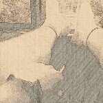 @davidklimov77 - Instagram