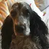 David Knaus595 - @davidknaus595 - TikTok