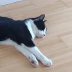 David Knaus - @david.06.knau1 - Instagram