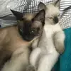davidknaus - @davidknaus - TikTok