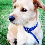 David_knebel - @davidknebelpawlak - Instagram