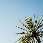 David Knöpfel - @knopfeldavid - Instagram