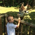 Jon David Knopf - @knopfjd - Instagram