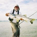 David Knorr - @david.knorr1 - Instagram