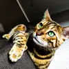 David Koger - @davidkoger_3286 - TikTok