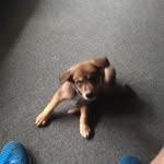 Zach David Koger - @zach.koger.94 - Instagram