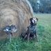 Dave Kohlbeck - Facebook