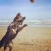 David Komar - Facebook