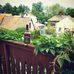 David Komár - Facebook