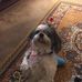 David Komar - Facebook
