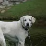 David Konikov - @davidkonikov - TikTok