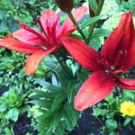 David konrad - @dave_limbo - Instagram