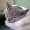 notdqvid - @david._.kop - TikTok