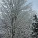 David Kopf - Facebook