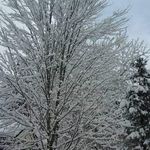 David Kopf - @david.kopf.75 - Instagram
