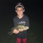 David Kopinski - @davidkopinski - Instagram