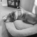 David Kopinski - Facebook
