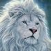 David Korang - Facebook