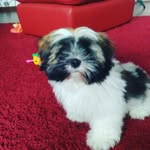 davidkorinek05 - @davidkorinek057193 - Instagram