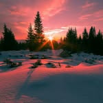 Давид Короленко - @davidkorolenko - Instagram