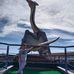 David Korshenyuk - Facebook