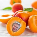David Kort - @davidkortcastricum - Instagram