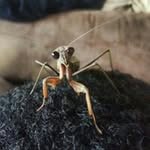David Kosa - @davidkosa509 - Instagram