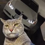 David Kosa - @vilmoskosa1 - Instagram