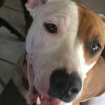 David Koski - @koski5616 - Instagram